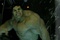 hulk-dans-the-avengers-jpg