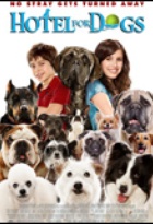 Affiche miniature du film Palace pour chiens