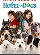 Affiche du film Palace pour chiens