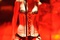 dakota fanning lors d un concert