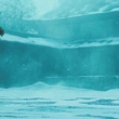 emily browning dans son monde imaginaire