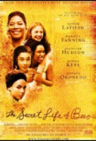 Affiche miniature du film Le Secret de Lily Owens