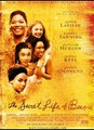 Le Secret de Lily Owens