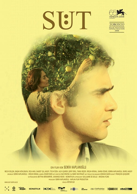 Affiche du film Milk 