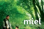Affiche du film Miel 