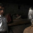 Bora Altas devant un oiseau