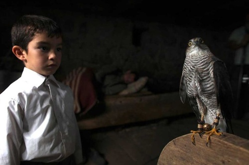 Bora Altas devant un oiseau