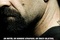 affiche teaser espagnol