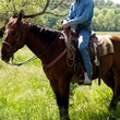 lucas till a cheval