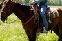 lucas till a cheval