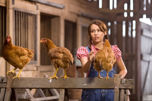 miley cyrus a la ferme