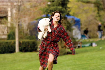 sandra bullock courant