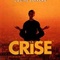Affiche du film La Crise - La Crise 