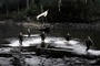 photo 2 du film valhalla rising le guerrier silencieux