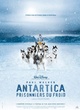 Affiche du film Antartica, prisonniers du froid