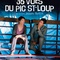 Affiche du film 36 vues du Pic Saint-Loup - 36 vues du Pic Saint-Loup 