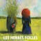 Affiche du film Les Herbes folles - Les Herbes folles 
