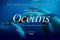 Affiche du film Océans