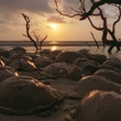 film Oceans