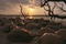 film Oceans