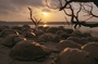 film Oceans