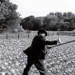 photo 4 du film le ruban blanc