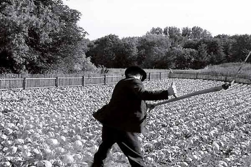 photo 4 du film le ruban blanc