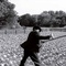 photo 4 du film le ruban blanc - Le Ruban blanc 