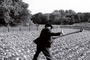 photo 4 du film le ruban blanc