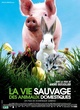 Affiche du film La Vie sauvage des animaux domestiques