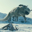 animal du film