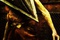 affiche teaser 2