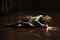 radha mitchell a terre