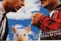 Affiche du film Les Truffes