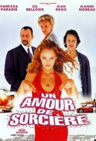 Affiche miniature du film Un amour de sorcière