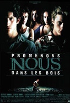 Affiche miniature du film Promenons-nous dans les bois