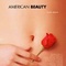 Affiche du film American Beauty - American Beauty 
