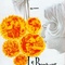 Affiche du film Le bonheur - Le bonheur 
