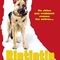 Affiche du film Rintintin - Rintintin 