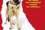 Affiche du film Rintintin
