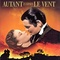 Affiche du film Autant en emporte le vent - Autant en emporte le vent 