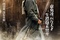 affiche-teaser-chinoise-4-jpg