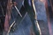 Elektra- Poster teaser