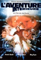 Affiche miniature du film L'aventure intérieure