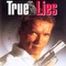 Affiche du film True Lies - True Lies 