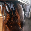 alien-jpg