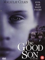 Affiche du film Le bon fils