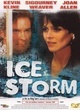 Affiche du film The Ice Storm