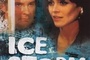 Affiche du film The Ice Storm