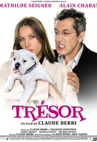 Affiche miniature du film Trésor